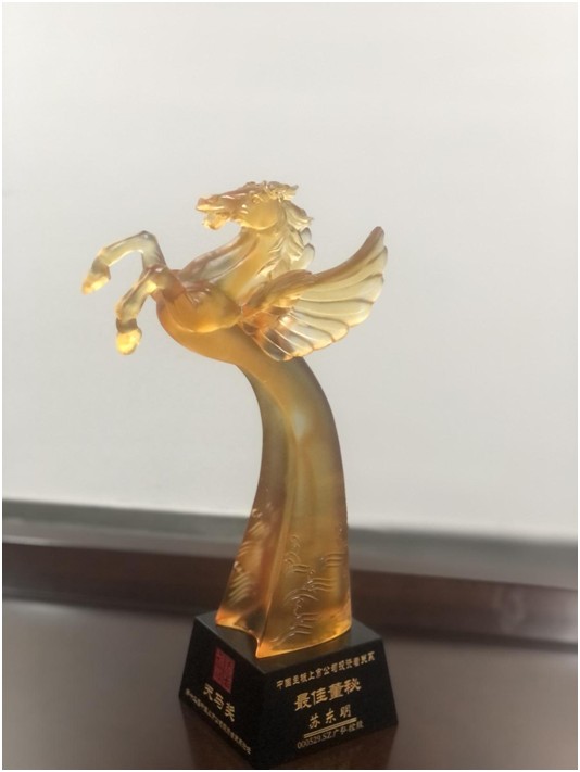 天马奖图4.jpg