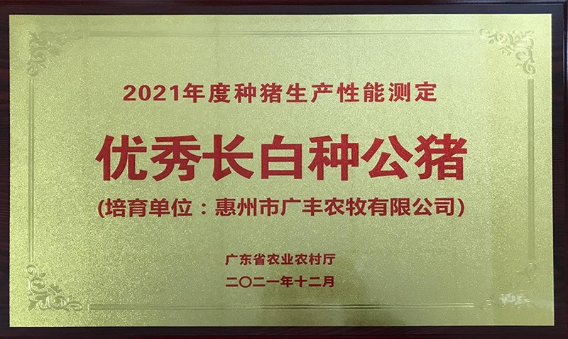 图片12 - 副本.jpg