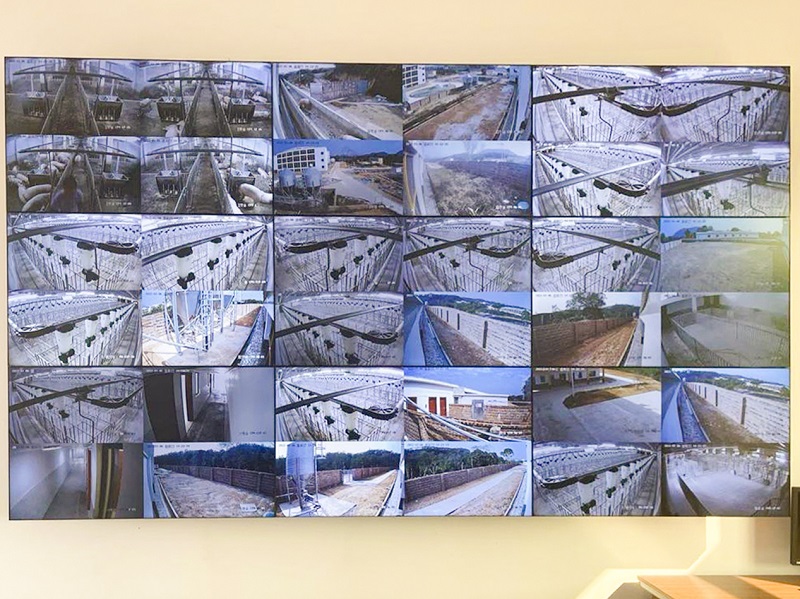 图片11 - 副本.jpg