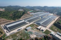 AG超玩会电竞俱乐部农牧下属兴宁农牧荣获“2024年广东省畜禽养殖标准化示范场”称号